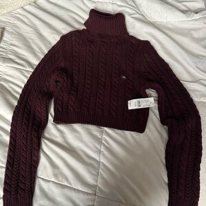 Brand new pacsun turtle neck cropped sweater